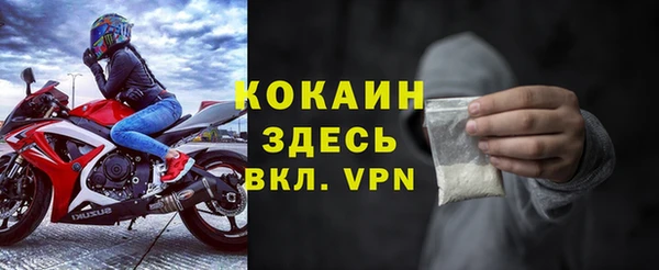 apvp Дмитриев