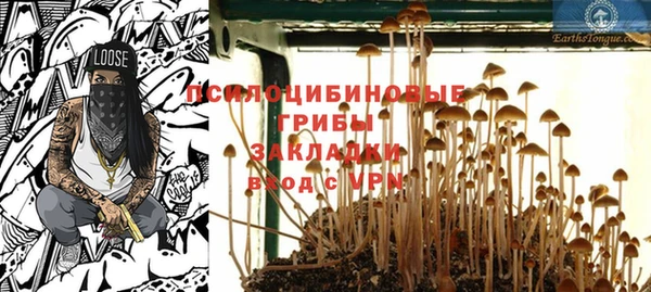 ПСИЛОЦИБИНОВЫЕ ГРИБЫ Дмитров
