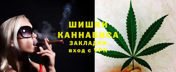 ПСИЛОЦИБИНОВЫЕ ГРИБЫ Дмитров
