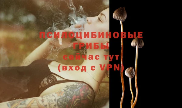 а пвп мука Дмитровск