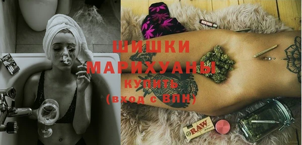 apvp Дмитриев