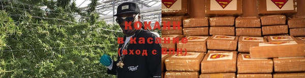 apvp Дмитриев